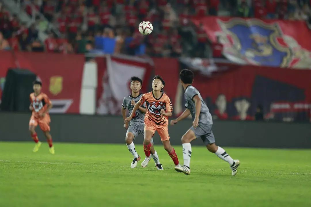  勒沃库森，U19梯队夺冠，青训体系受赞誉